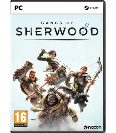 Gangs of Sherwood PC od NACON